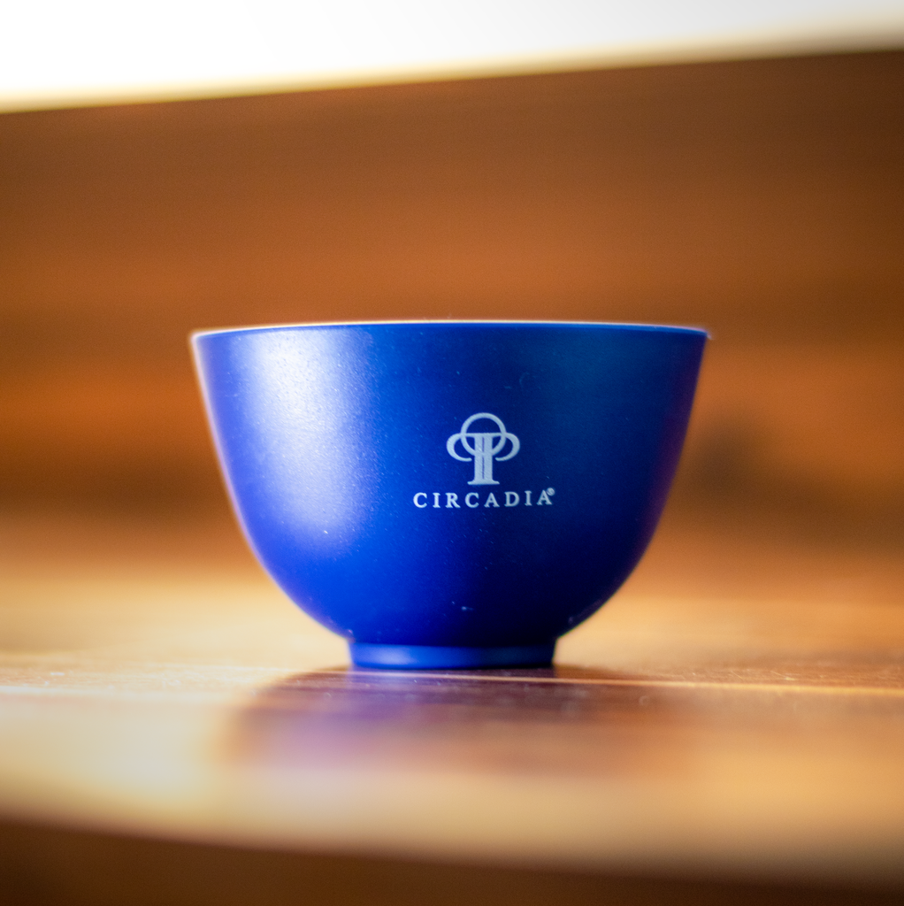 Blue Silicone Bowl