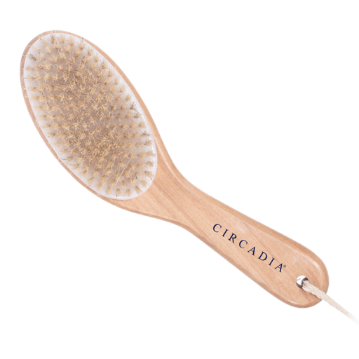 [CC.241] Circadia Brosse corporelle